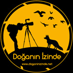 beratze - ait Kullan�c� Resmi (Avatar)